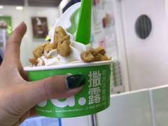 -Salud撒露欧洲冻酸奶(蓝色港湾店)