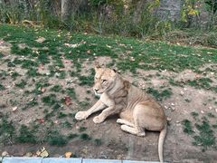 -北京野生动物园