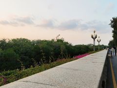 -宝安西湾红树林湿地公园