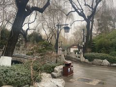 -油旋张(大观园店)