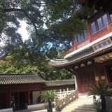 上海人气景点打卡推荐攻略