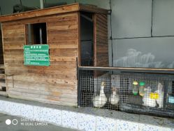 -可可天空农场(东部新城银泰店)