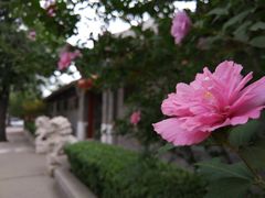 -历代帝王庙博物馆