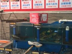 水产区-张家卫·阳江菜·小海鲜(肥婆湾桥店)