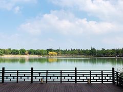 景观位-水月周庄铂尔曼酒店 · 漾全日餐厅