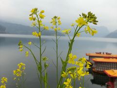 -雷波马湖风景区