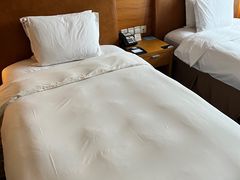 -北京望京华彩智选假日酒店