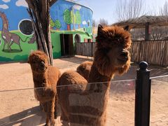 -鄂尔多斯野生动物园