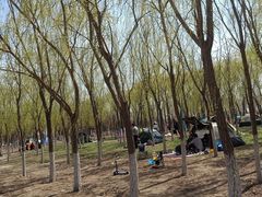 -西青郊野公园
