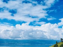 -洱海月湿地公园