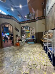 -卡通尼·Safari非洲探索乐园·生日会(金桥国际商业广场店)