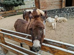 -HERRE·FARM 赫尔露营农场·团建聚会包场