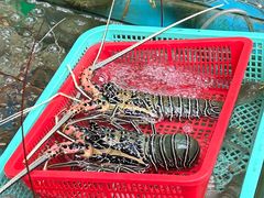 -拉威海鲜市场
