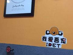 -我爱吾宠宠物美容院(朝阳路店)
