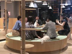 -CAT’S MEWSTAR CAFE·喵星球猫屋(晴湾咖啡店)