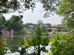 -顺峰山公园