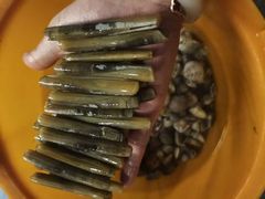 -北海金海湾红树林生态旅游区