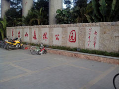 android_upload_pic-阳台山森林公园