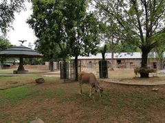 -石家庄市动物园