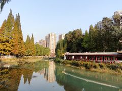 -温江公园
