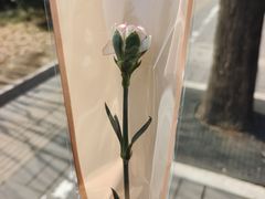 -潮汕三宝鲜牛肉火锅