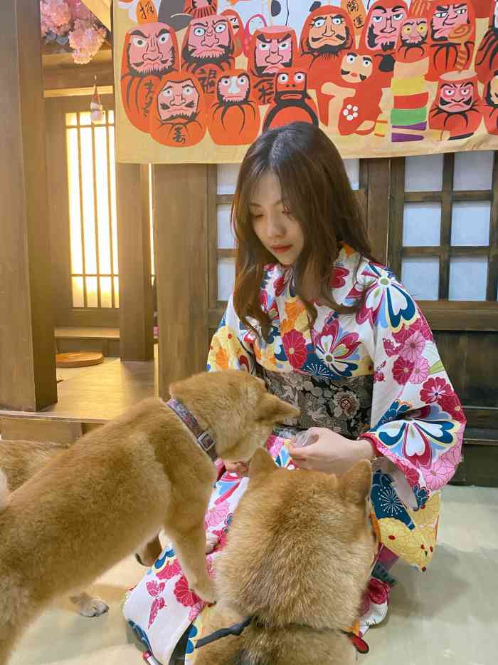 豆柴院子柴犬主题咖啡馆(三里屯旗舰店)