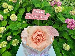 -仟吉KenGee(国贸360店)