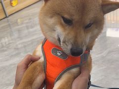 -宠颐生宠物医院·综合诊疗(先锋分院)