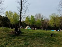 -蜀冈西峰生态公园