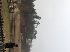 -黄龙溪欢乐田园