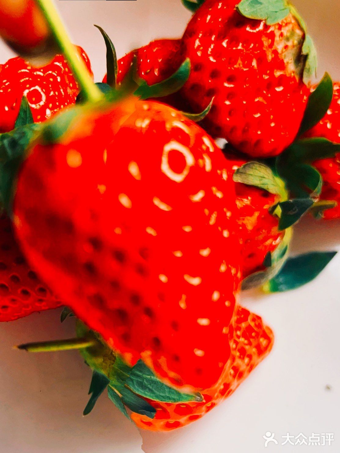 一口接一口，沉溺在草莓甜香里，🍓🍓🍓。
