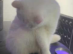 -极木²邸 人与宠物·互动社区