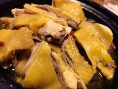 盐酒河田鸡-新悦·霞浦海鲜生(上下杭店)