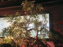 -東大方(武康千秋广场店)