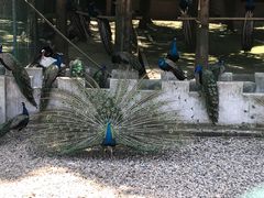 -南京金牛湖风景区