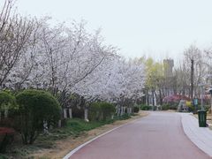 -红莲湖
