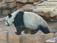 -秦皇岛野生动物园