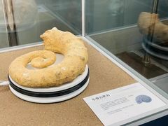 -天津古林古海岸遗迹博物馆