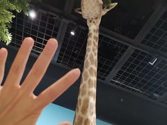 -陕西自然博物馆