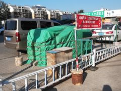 -长宁东道花卉宠物市场