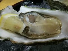 -蚝专家(北滘店)
