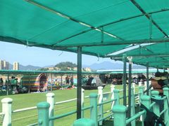 -千岛湖-欢乐水世界