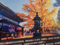 -红螺寺