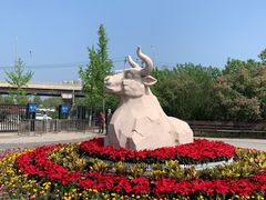 -永定河休闲森林公园