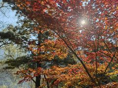-秦岭终南山世界地质公园翠华山景区