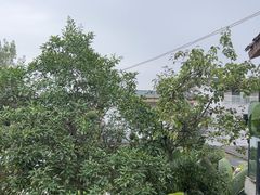 -云里小坐·小院里·团建·宴请·下午茶(三圣乡店)