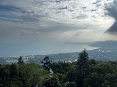 -三亚亚龙湾人间天堂鸟巢度假村