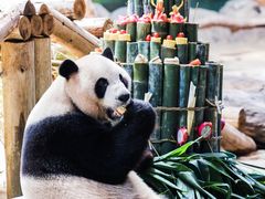 -广州长隆野生动物世界
