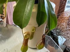 -半勺·新徽菜(银泰城店)