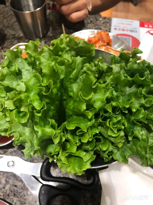 高丽苑韩国烤肉(弘阳广场店)生菜图片 - 第2张